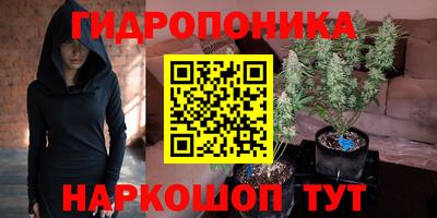 шишки Краснознаменск