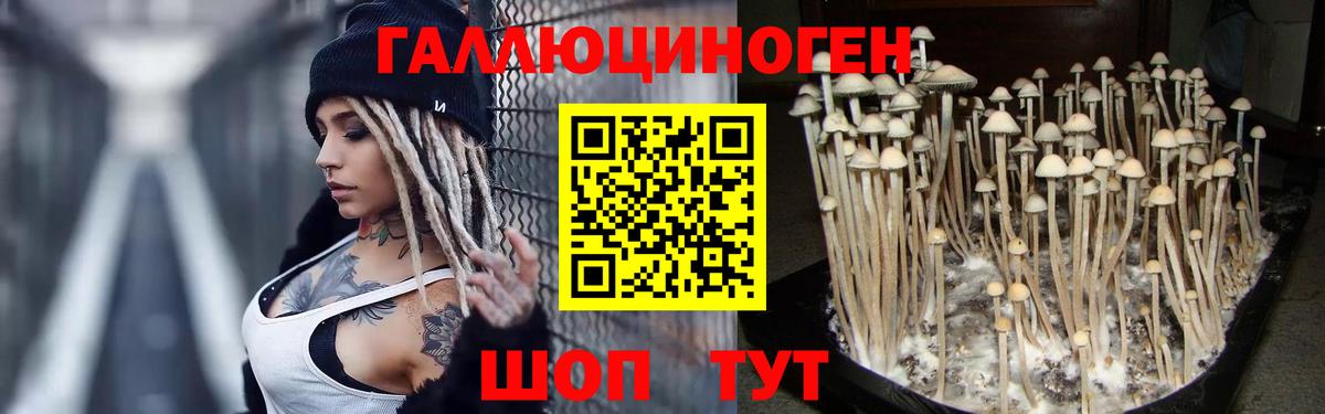 Галлюциногенные грибы мицелий  Галлюциногенные грибы Psilocybe  Вход с VPN  Кириши 